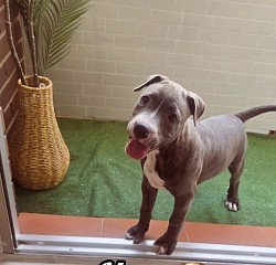 MAYA♡