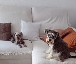PANTER Y LOLA♡