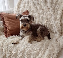 LOLA♡