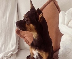 PUMBA♡