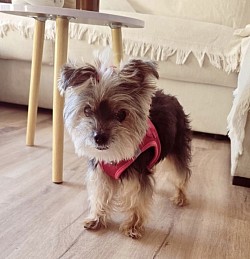 RUBY♡