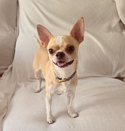 TOBY♡