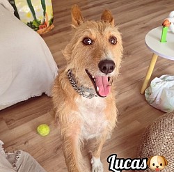 LUCAS♡