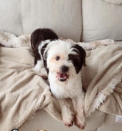 COCO♡