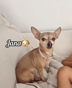 JANA♡