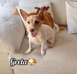 GRETA♡