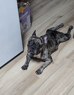 BIMBA♡