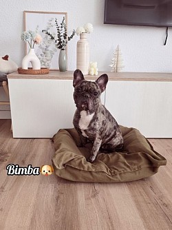 BIMBA♡