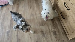 KIRA Y LOLA♡