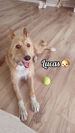 LUCAS♡