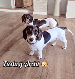 FUSTA Y ARCHI♡